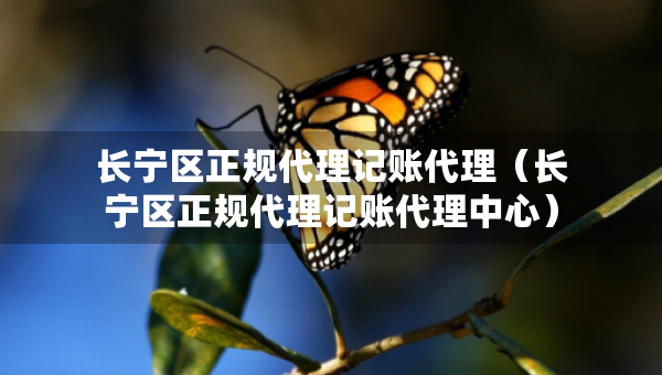 长宁区正规代理记账代理（长宁区正规代理记账代理中心）