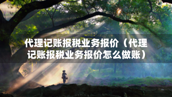 代理记账报税业务报价（代理记账报税业务报价怎么做账）