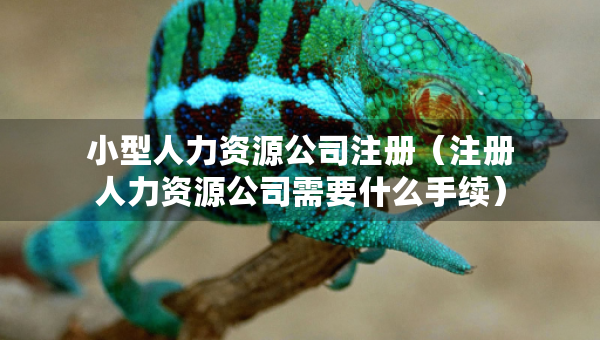 小型人力资源公司注册（注册人力资源公司需要什么手续）
