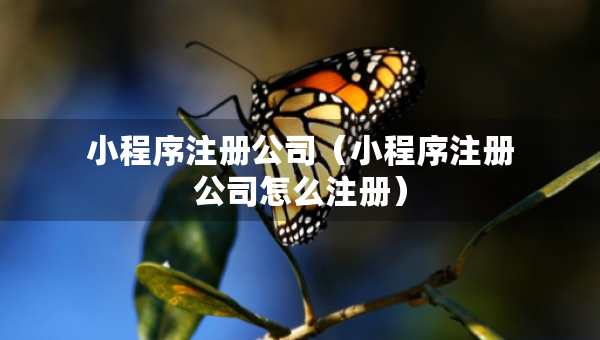 小程序注册公司（小程序注册公司怎么注册）