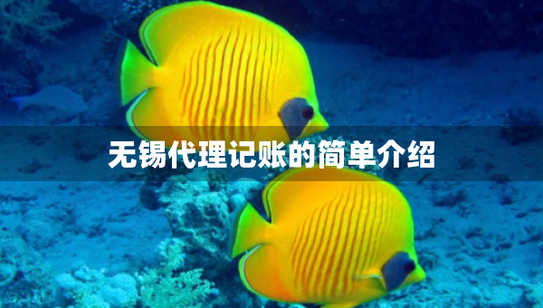 无锡代理记账的简单介绍