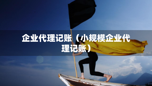 企业代理记账（小规模企业代理记账）