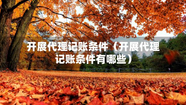 开展代理记账条件（开展代理记账条件有哪些）