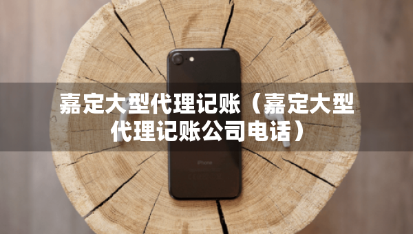 嘉定大型代理记账（嘉定大型代理记账公司电话）