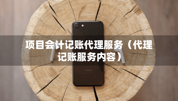 项目会计记账代理服务（代理记账服务内容）