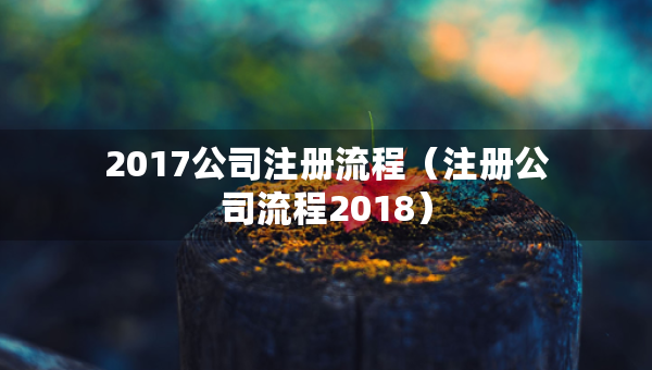 2017公司注册流程（注册公司流程2018）
