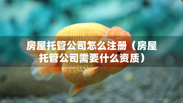 房屋托管公司怎么注册（房屋托管公司需要什么资质）