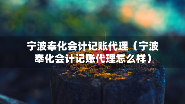 宁波奉化会计记账代理(宁波奉化会计记账代理怎么样) 宁波奉化会计记账代理(宁波奉化会计记账代理怎么样)