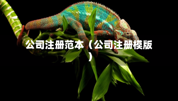 公司注册范本（公司注册模版）