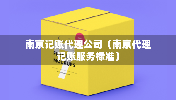 南京记账代理公司（南京代理记账服务标准）