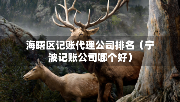 海曙区记账代理公司排名（宁波记账公司哪个好）
