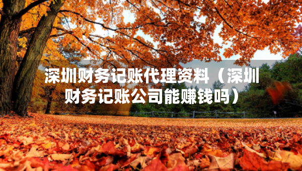 深圳财务记账代理资料（深圳财务记账公司能赚钱吗）