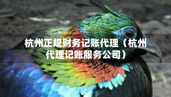 杭州正规财务记账代理（杭州代理记账服务公司）