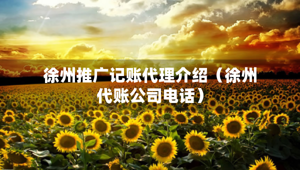 徐州推广记账代理介绍（徐州代账公司电话）