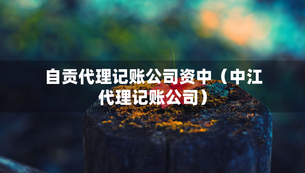 自贡代理记账公司资中（中江代理记账公司）