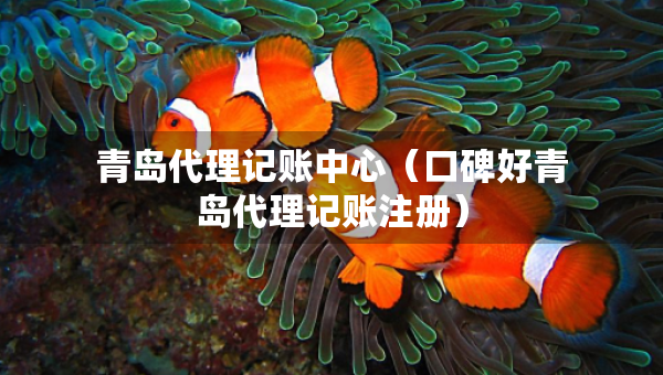 青岛代理记账中心（口碑好青岛代理记账注册）