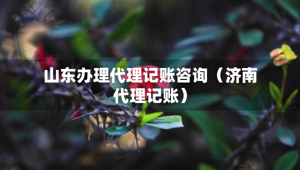 山东办理代理记账咨询（济南代理记账）
