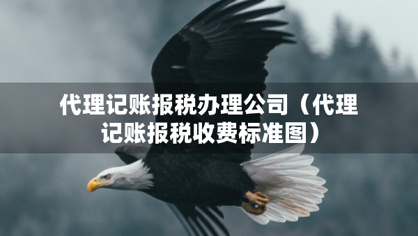 代理记账报税办理公司（代理记账报税收费标准图）