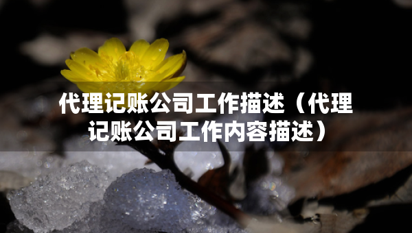 代理记账公司工作描述（代理记账公司工作内容描述）