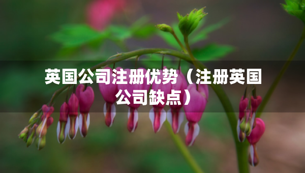 英国公司注册优势（注册英国公司缺点）
