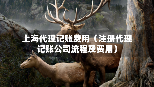上海代理记账费用（注册代理记账公司流程及费用）