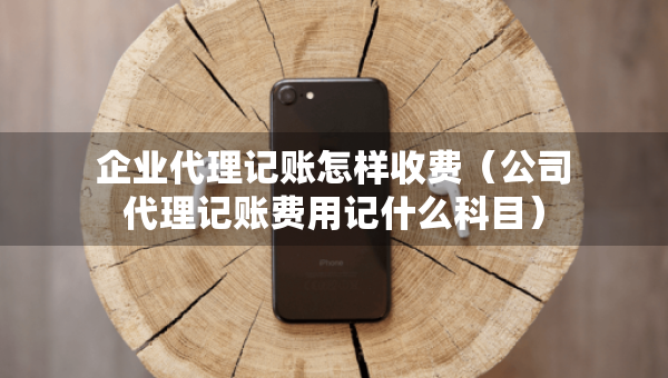 企业代理记账怎样收费（公司代理记账费用记什么科目）