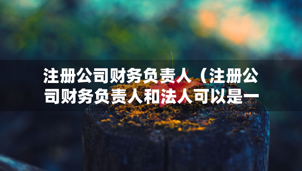 注册公司财务负责人（注册公司财务负责人和法人可以是一个人吗）