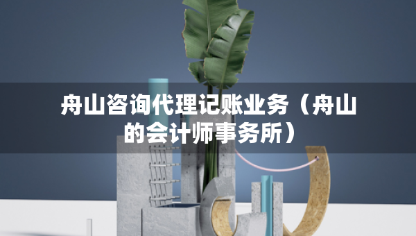 舟山咨询代理记账业务（舟山的会计师事务所）