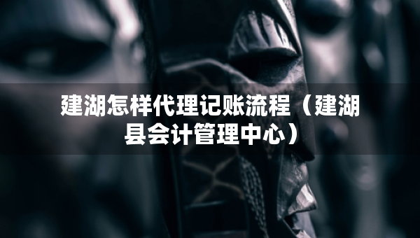 建湖怎样代理记账流程（建湖县会计管理中心）