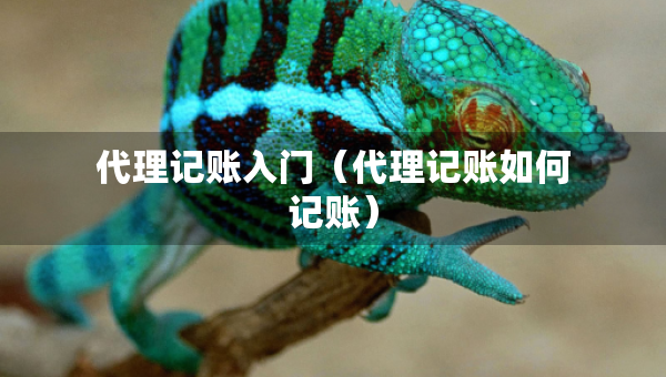 代理记账入门(代理记账如何记账) 代理记账入门(代理记账如何记账)