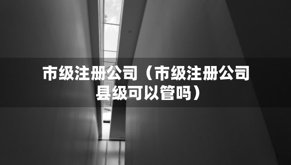市级注册公司（市级注册公司 县级可以管吗）