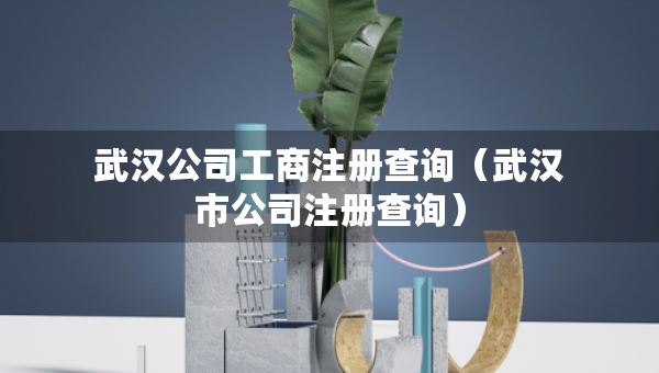武汉公司工商注册查询（武汉市公司注册查询）