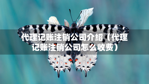 代理记账注销公司介绍（代理记账注销公司怎么收费）