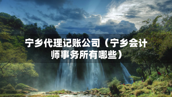 宁乡代理记账公司（宁乡会计师事务所有哪些）