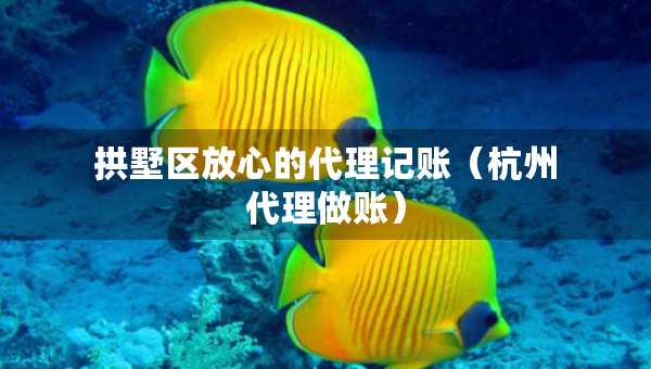 拱墅区放心的代理记账（杭州代理做账）