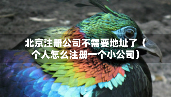 北京注册公司不需要地址了（个人怎么注册一个小公司）