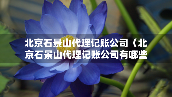 北京石景山代理记账公司（北京石景山代理记账公司有哪些）