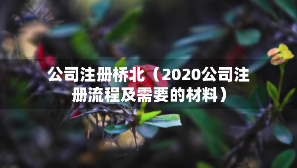 公司注册桥北（2020公司注册流程及需要的材料）