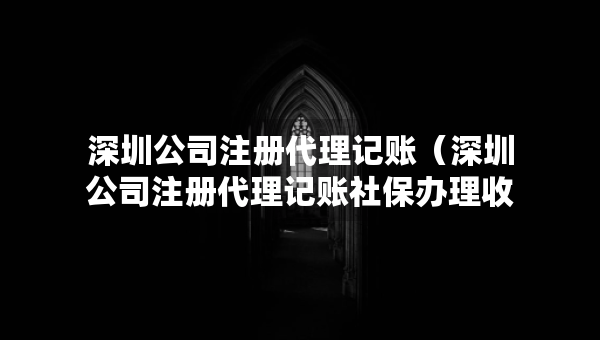 深圳公司注册代理记账（深圳公司注册代理记账社保办理收费标准）