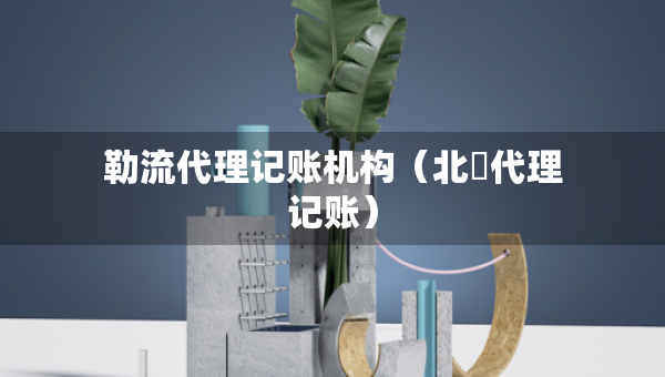 勒流代理记账机构（北滘代理记账）