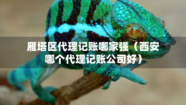 雁塔区代理记账哪家强（西安哪个代理记账公司好）