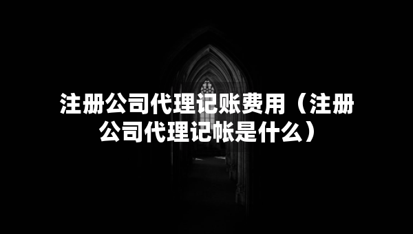 注册公司代理记账费用（注册公司代理记帐是什么）