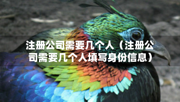 注册公司需要几个人（注册公司需要几个人填写身份信息）