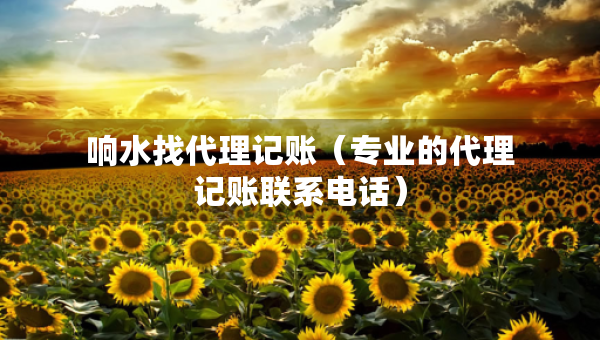 响水找代理记账（专业的代理记账联系电话）