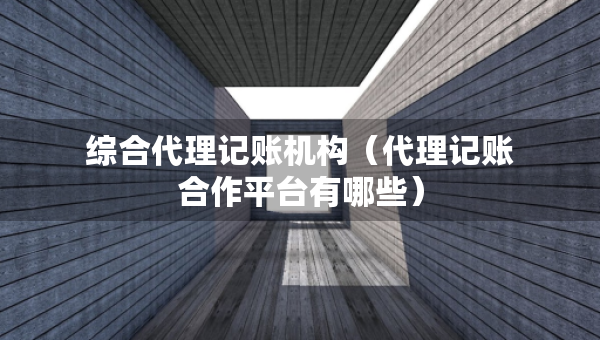 综合代理记账机构（代理记账合作平台有哪些）