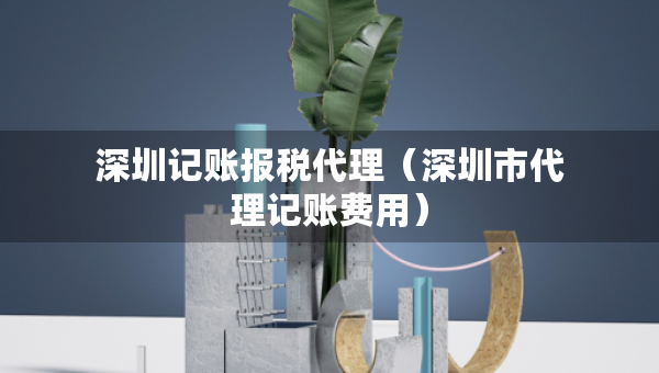 深圳记账报税代理（深圳市代理记账费用）