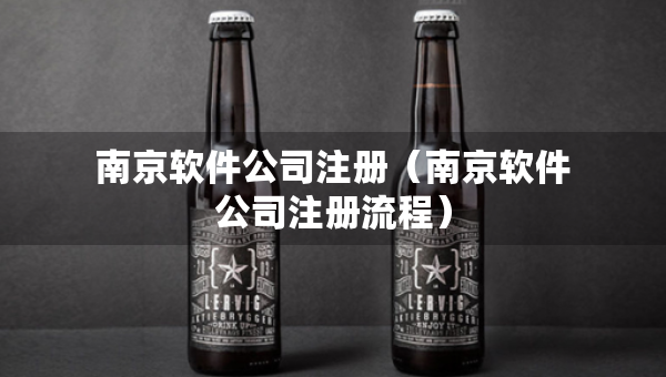 南京软件公司注册（南京软件公司注册流程）