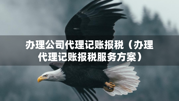办理公司代理记账报税（办理代理记账报税服务方案）