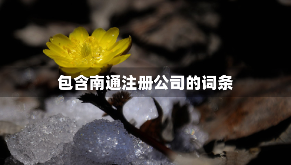 包含南通注册公司的词条