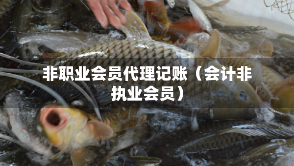 非职业会员代理记账（会计非执业会员）
